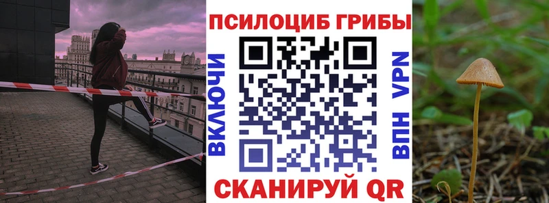 ОМГ ОМГ ССЫЛКА  как найти наркотики  Свободный  Галлюциногенные грибы Psilocybe 